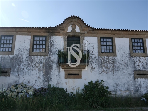 Quinta T3